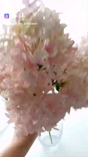 clip38863343_456240098.mp4
