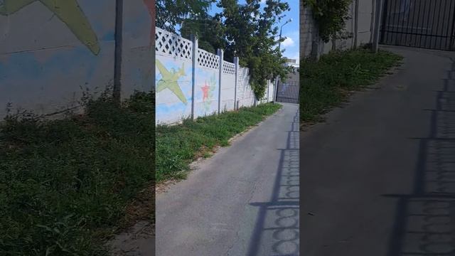 Красота во всём