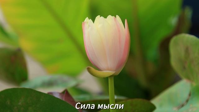 ОТПУСТИ КОНТРОЛЬ. ДОВЕРЬСЯ ПОТОКУ...