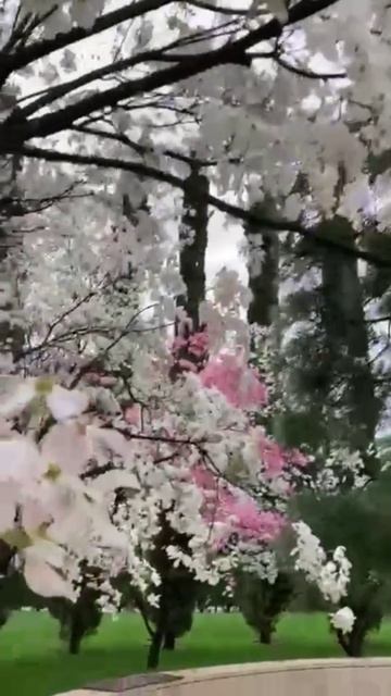 Парк весной по своему прекрасен ☀️