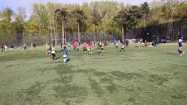 PROFIBALL & ЛИДЕР ГРУПП (10 : 0).