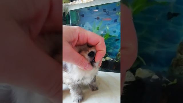 23 сентября 2018 г.
