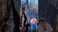человек в шоке от этой женщины