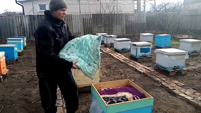 Как зимует рой, прилетевший на пасеку в сентябре
