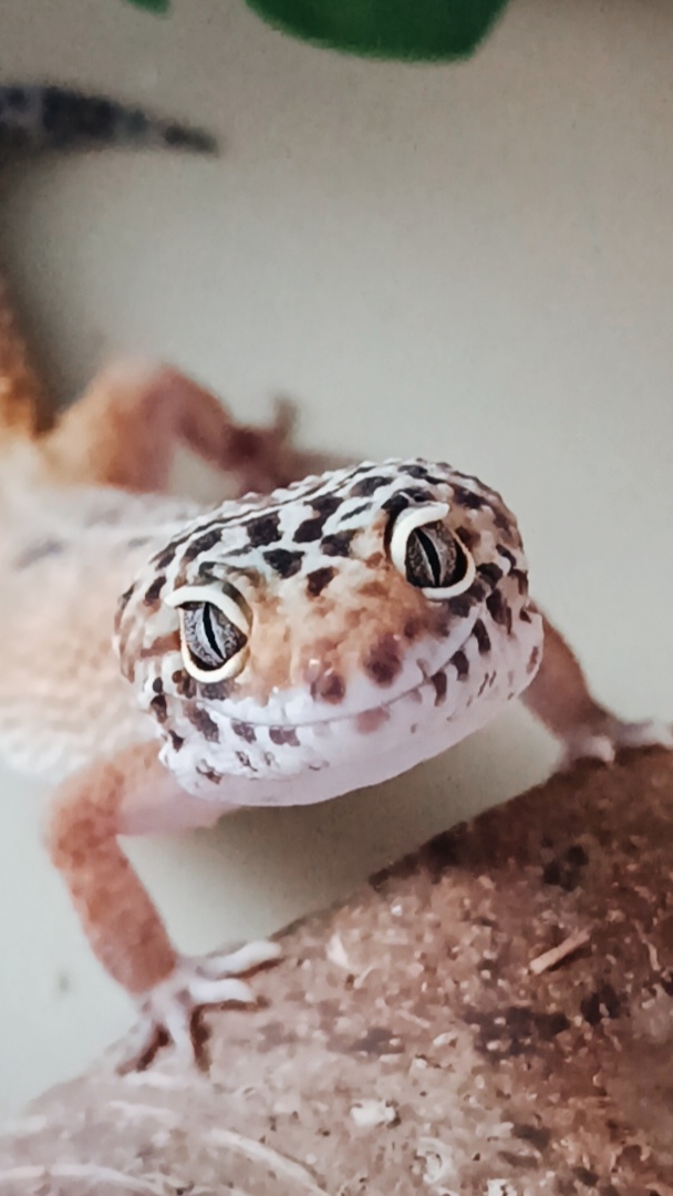 Моя миленькая 💋