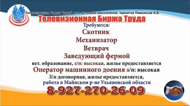 21 03 22 РАБОТА В УЛЬЯНОВСКЕ Телевизионная Биржа Труда 6