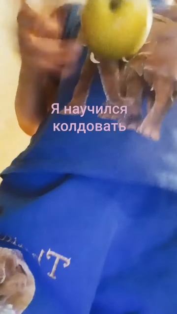 это правда #trend