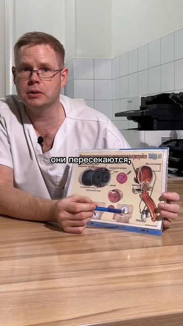 Постоянная контрацепция для мужчин. Вазорезекция в Краснодаре