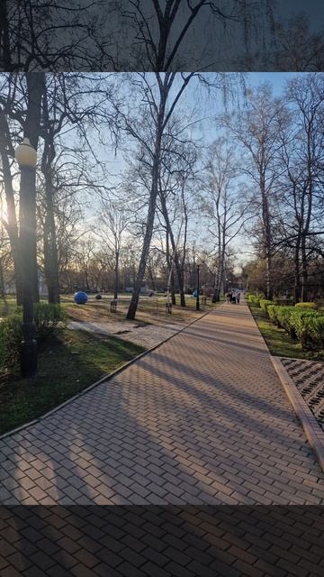 прогулка по Москве