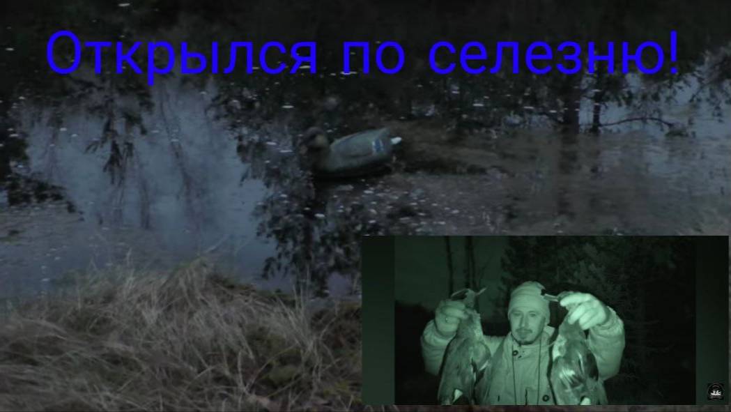Открылся по селезню Весна 2025!