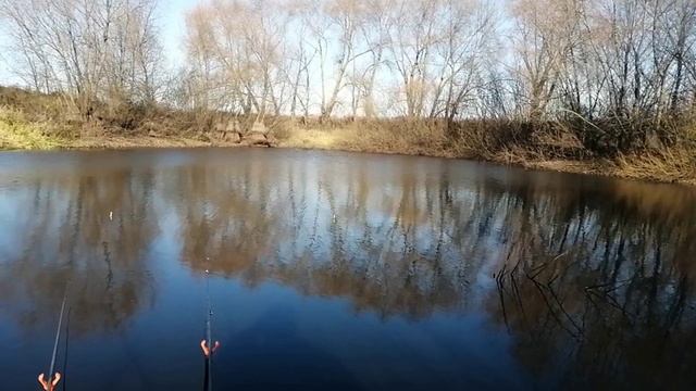 Последняя ноябрьская  рыбалка на удочку