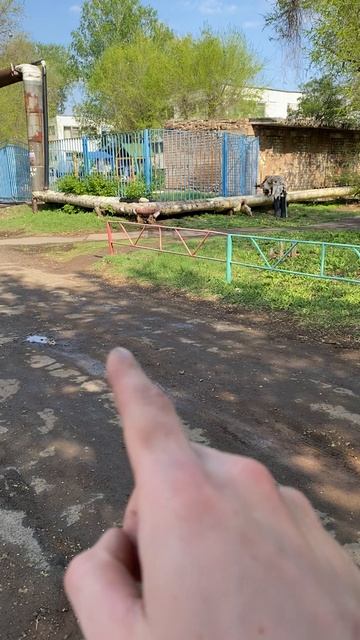 28-8 от ТП-422 до ТП-421 125м