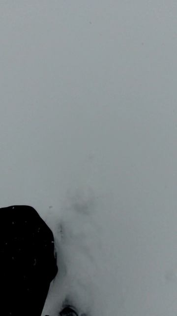 За пол дня выпало