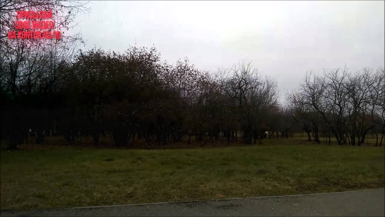 ЯБ2015 Тандем Тур Сервис