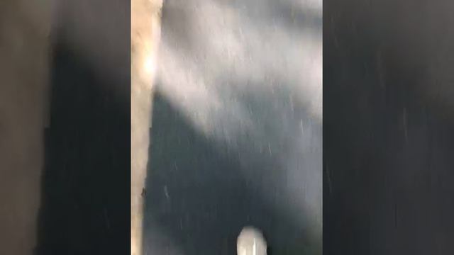 Показываем парк который открыл Алиханов