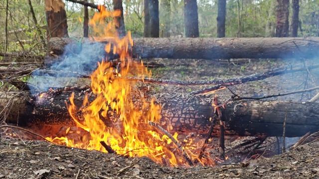 Хороший костёр на природе!