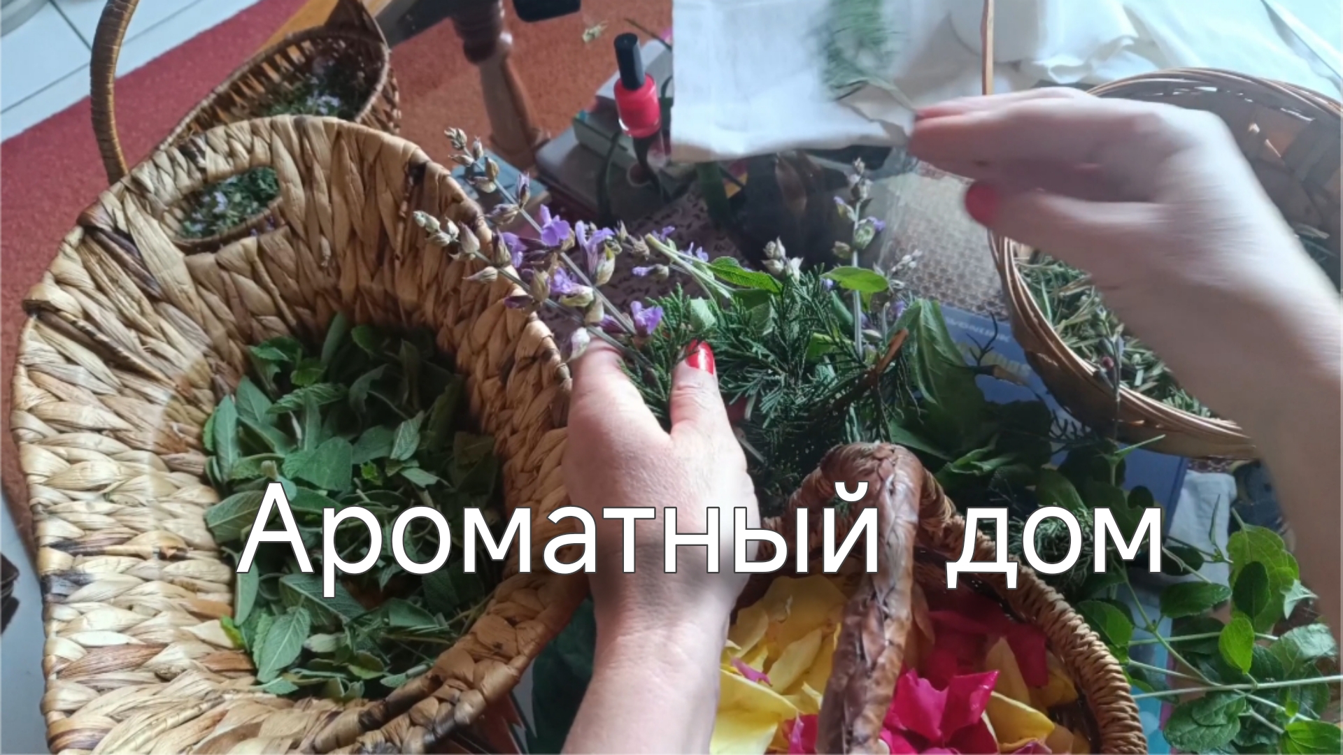 Чтобы хорошо пахло. Что наросло в саду. Швейная машинка и конечно камера #cococam