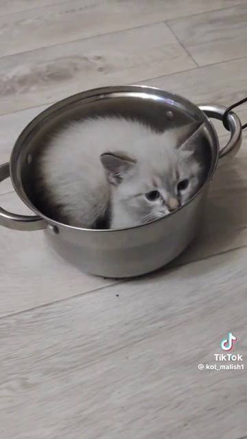 1000147427.mp4