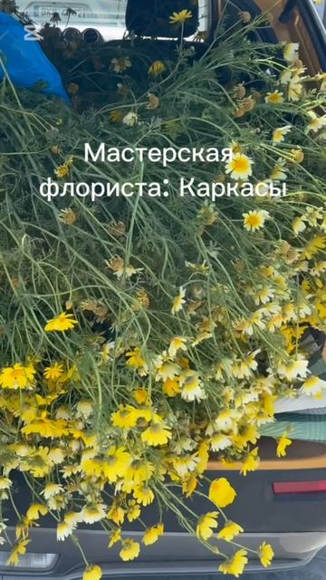 Хочешь создавать шедевры, которые удивляют?