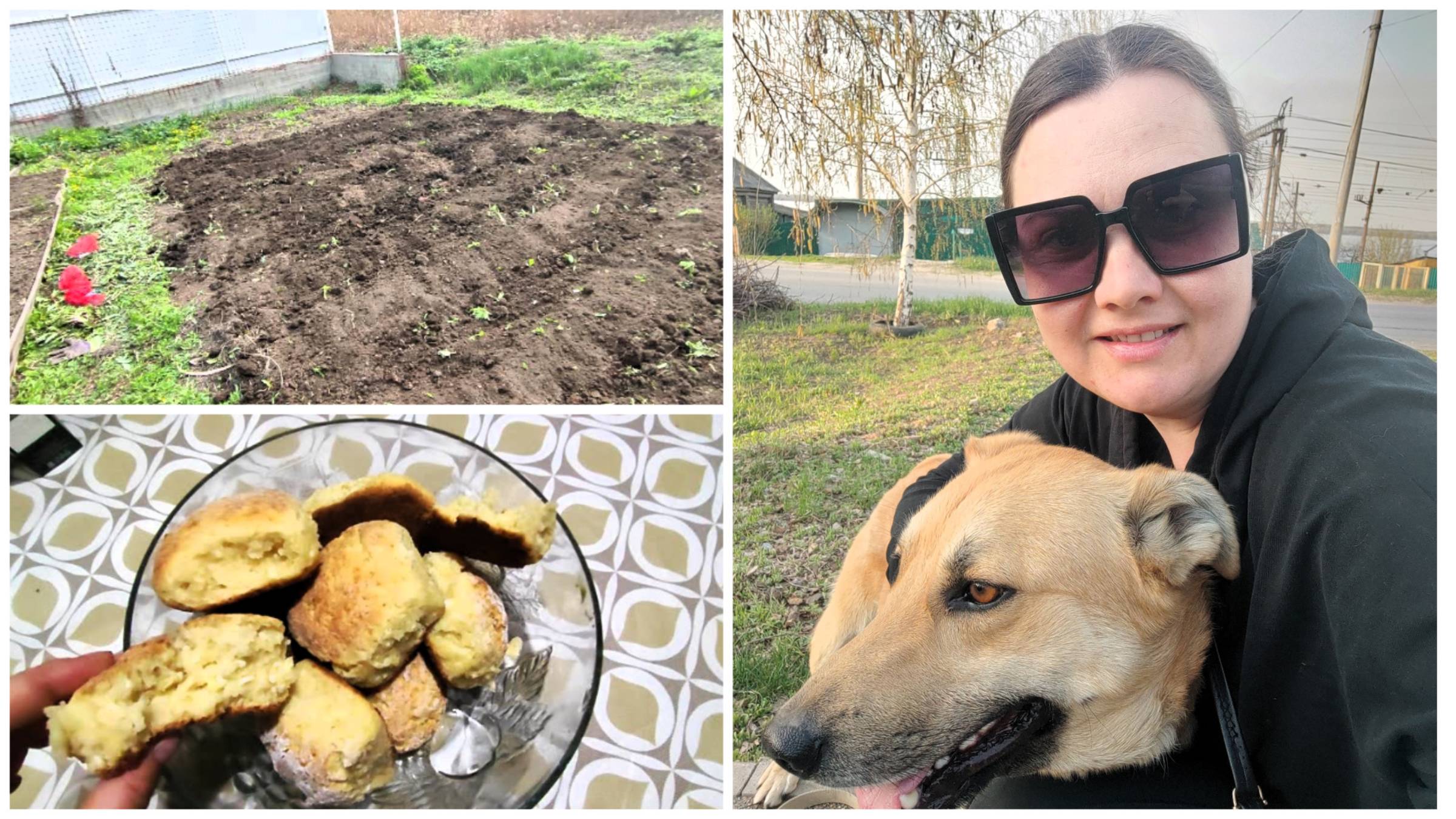 Возвращение БЛУДНОГО Шкета🙏 | Посадила КАРТОШКУ👩🌾