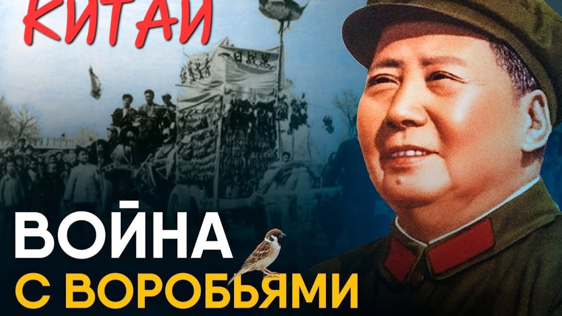Уничтожение воробьёв