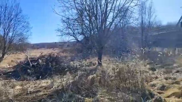 З/у с к. н. 50:28:0110156:20495, расположенный по адресу: МО, г. о. Домодедово, д. Степыгино