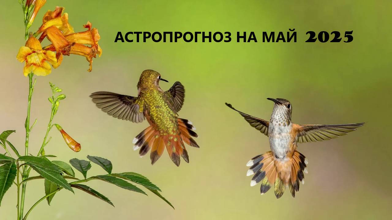 АСТРОПРОГНОЗ НА МАЙ 2025