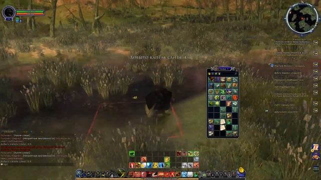 Lotro Властелин колец онлайн № 332 (Сервер Brandywine)
