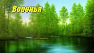 Воронья