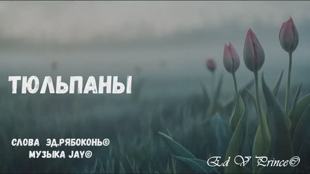 "Тюльпаны" студия Ed V Prince©&Jay©