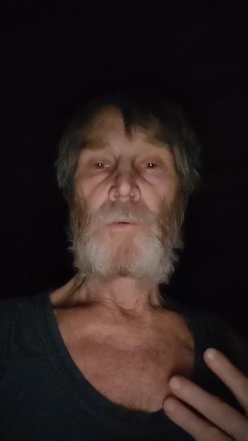 Елочка