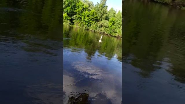 как поймать на косынку