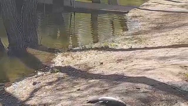 28.04.25 г. парк отдыха водопад.  ВИП