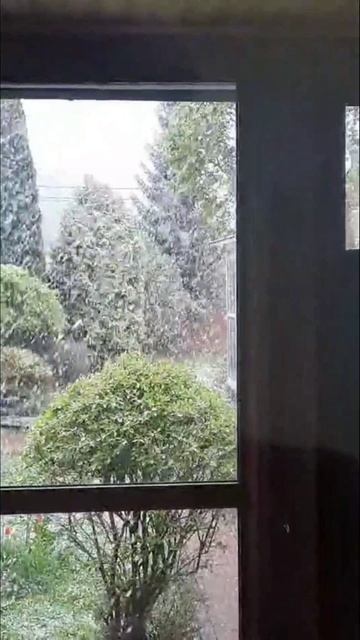 Шо, опять!?🤪❄️🌨