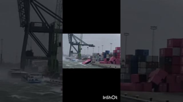 работа в порту.mp4
