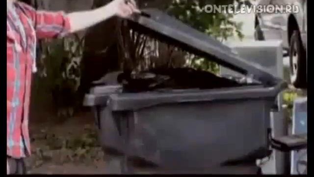 Внезапная белка