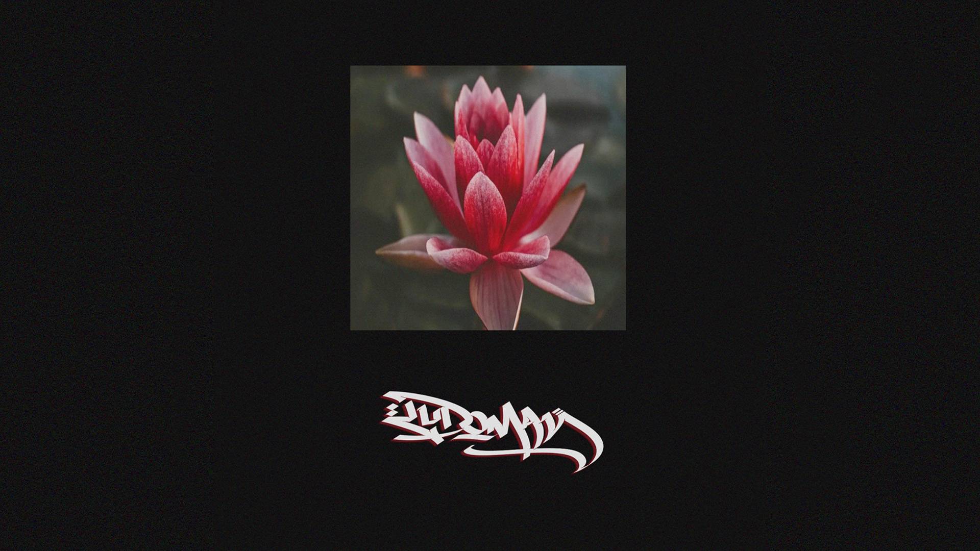 ludoman beats - Lotus [FREE BEAT]
