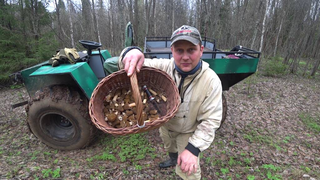 Весна прекрасна! Очаровательные сморчки, наивкуснейший березовый сок! Дровишки на зиму.