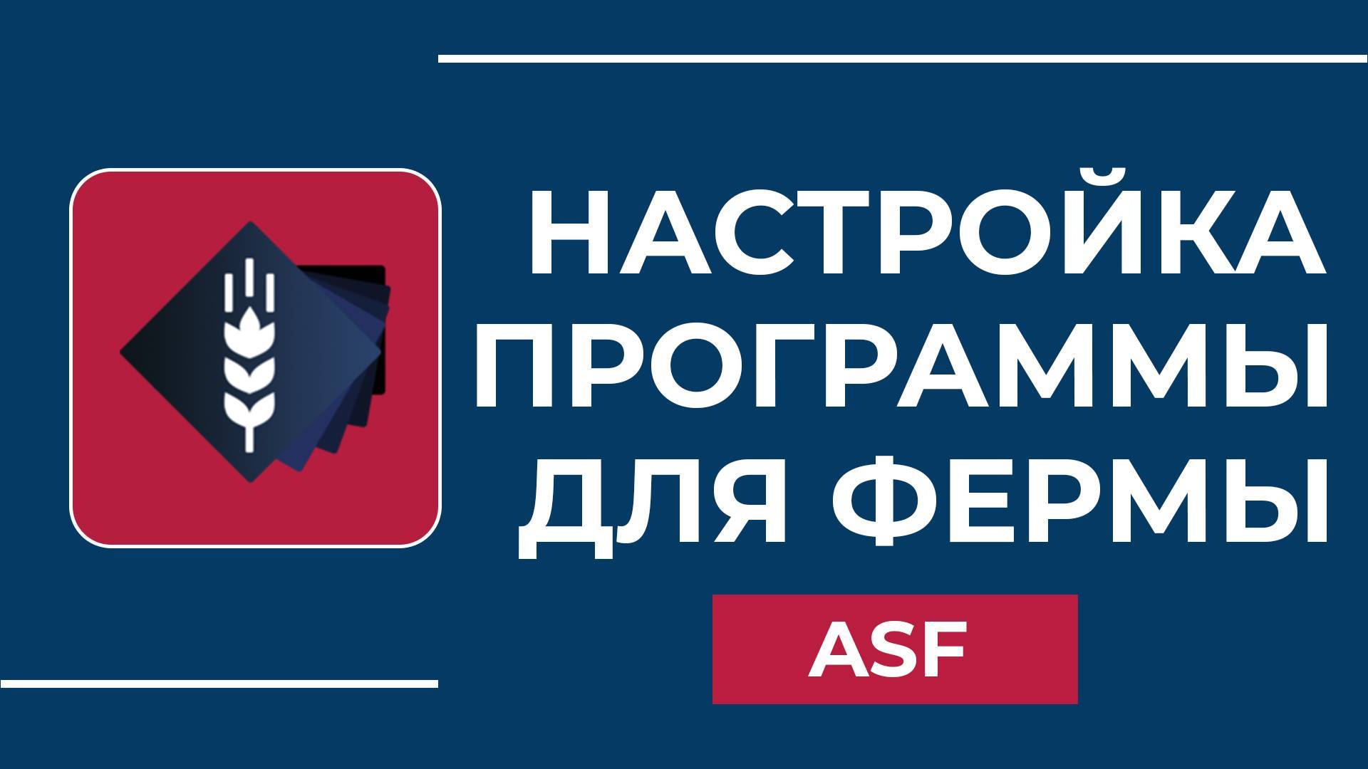 КАК ПЕРКИНУТЬ ВСЕ КЕЙСЫ НА ОСНОВУ ArchiSteamFarm | НАСТРОЙКА ASF ФАРМ КЕЙСОВ В CS2