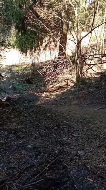 Дюны. (: МТБ тренинг Григория Кокунова. :)