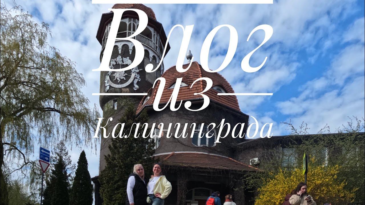 Влог из Калининграда