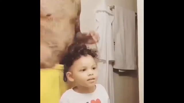 Лучшие приколы за октябрь!!! Смешно до боли!!)