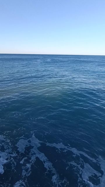 28.04.2025 Лазаревское