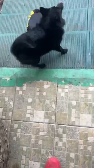Когда рад встречи с Наташей)