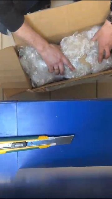 WhatsApp Video 2025-04-28 at 11.26.00