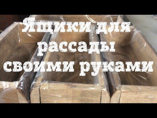 ВО ЧТО САЖАТЬ РАССАДУ? ЯЩИК ДЛЯ РАССАДЫ ИЗ ДЕРЕВА