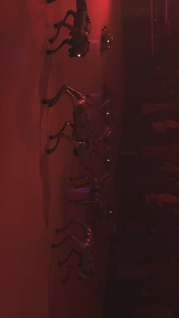 Intervals Fest '25