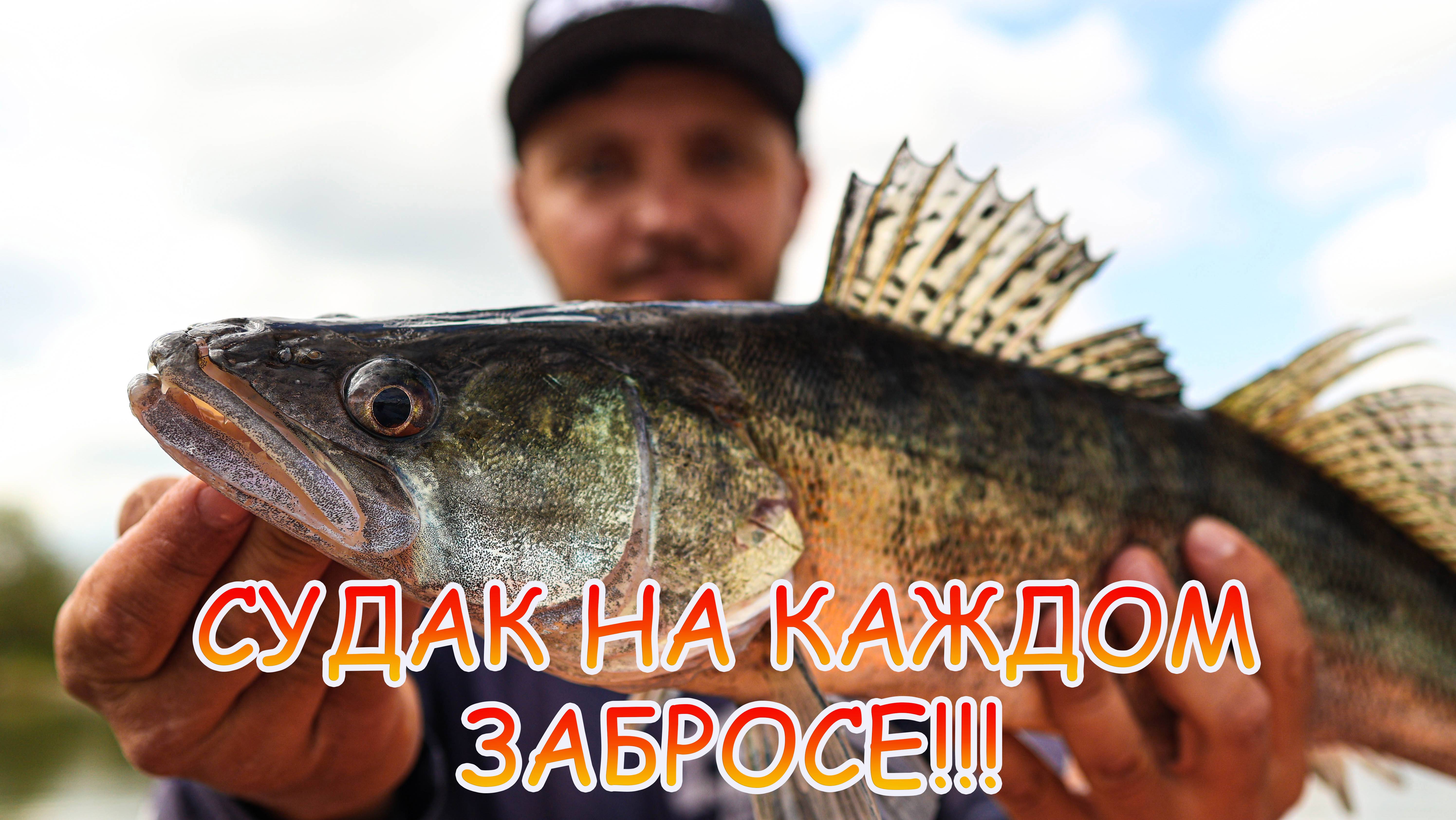 СУДАК с КАЖДОГО заброса 💪💪💪 ДЖИГ на реке 👍 Обзор НОВОЙ лодки!!!