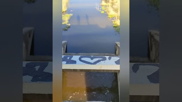 выставка школы дизайна и Я.