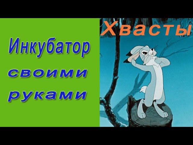 Инкубатор в домашних условиях. Хвасты про инкубатор